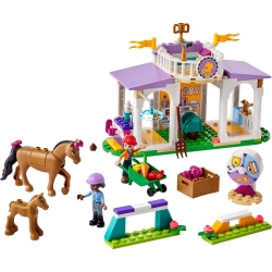 Lego Friends Szkolenie koni 41746